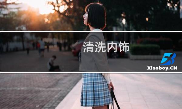 清洗内饰 - 清洗汽车内饰教程