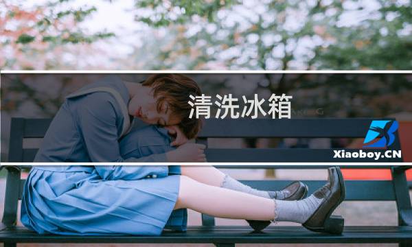 清洗冰箱 - 冰箱怎样清洗才干净杀菌