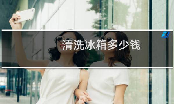 清洗冰箱多少钱 - 冰箱清洗除味收费