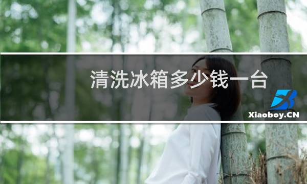 清洗冰箱多少钱一台 - 冰箱保洁一次多少钱