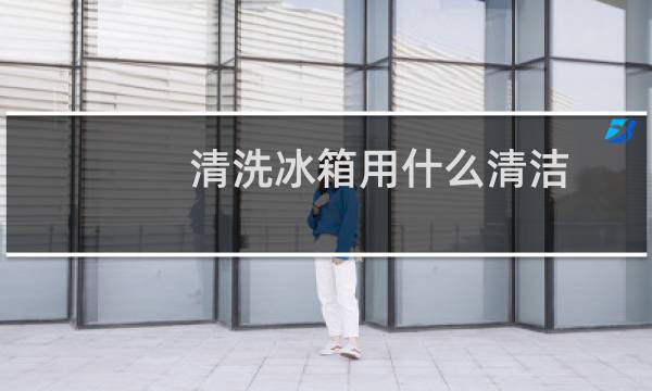 清洗冰箱用什么清洁 - 清洁冰箱怎么清洁干净