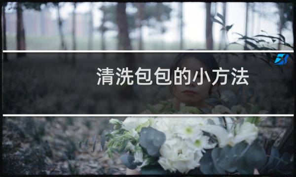 清洗包包的小方法 - Dior老花包可以洗吗