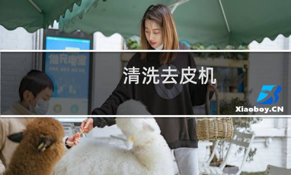 清洗去皮机 - 多功能清洗去皮机