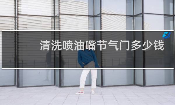 清洗喷油嘴节气门多少钱 - 洗喷油嘴和节气门费用