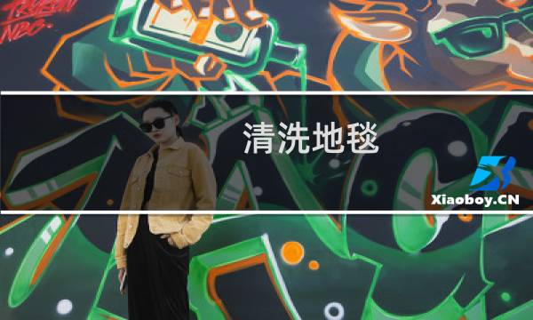 清洗地毯 - 自己可以清洗地毯吗