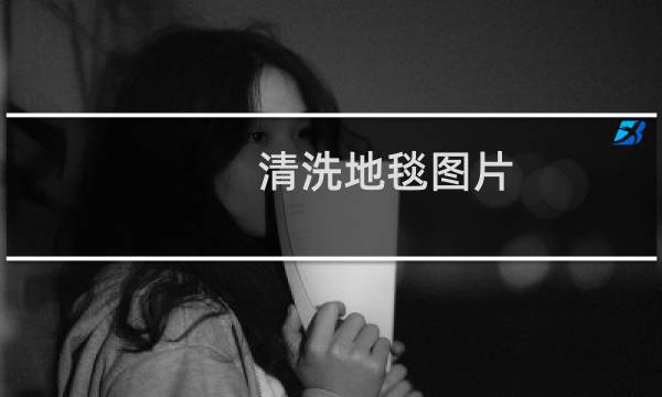 清洗地毯图片 - 地毯抽洗图片