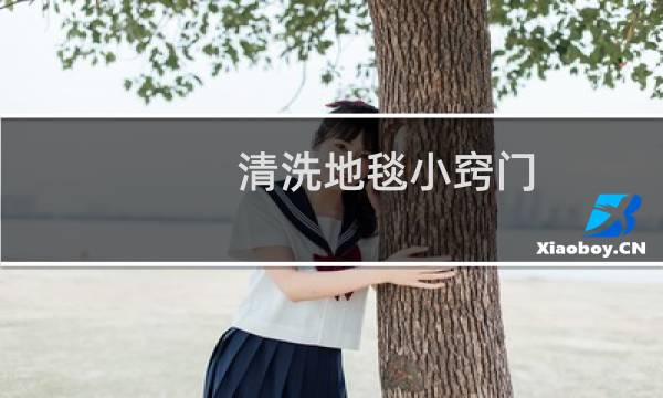 清洗地毯小窍门 - 自己可以清洗地毯吗
