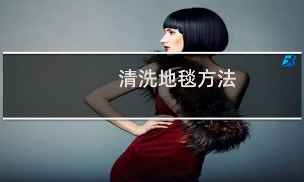 清洗地毯方法 - 地毯的方法