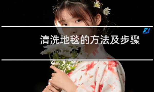清洗地毯的方法及步骤 - 自己可以清洗地毯吗