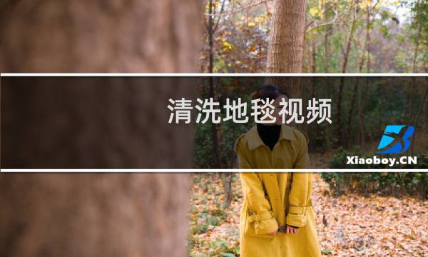 清洗地毯视频 - 清洗地毯视频全过程