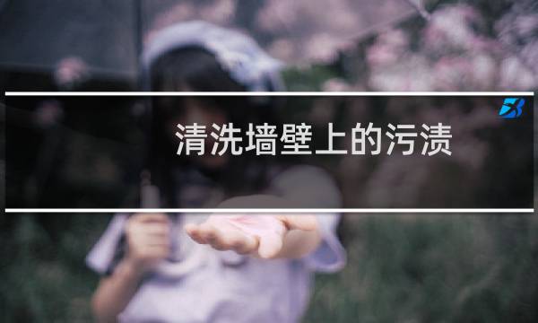 清洗墙壁上的污渍 - 怎样清洗墙上的污渍