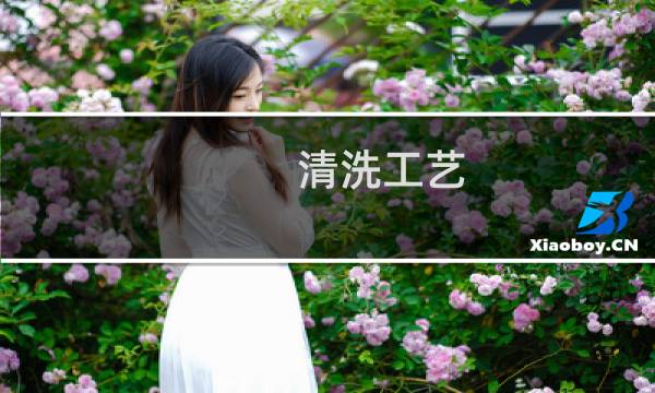 清洗工艺 - 清洗工艺定义