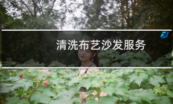 清洗布艺沙发服务 - 不可拆卸布艺沙发清洗
