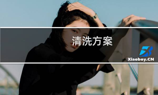 清洗方案 - 53a冲洗方案详图