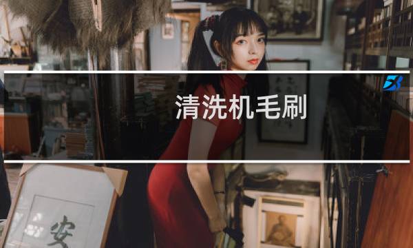清洗机毛刷 - 鞋带上蜡机毛刷