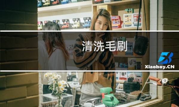 清洗毛刷 - 射弹毛刷清洗配件