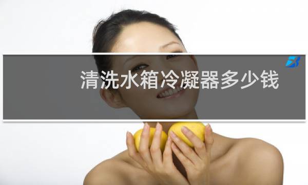 清洗水箱冷凝器多少钱 - 汽车冷凝器清洗一次多少钱