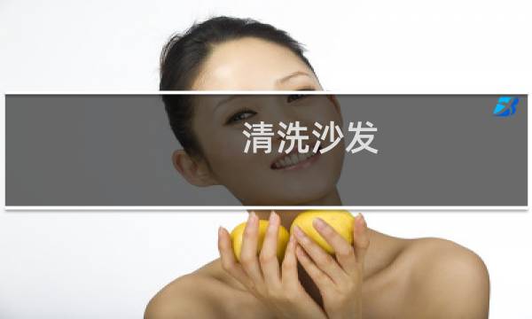 清洗沙发 - 不可拆卸布艺沙发清洗