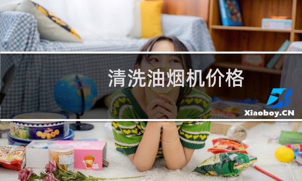 清洗油烟机价格 - 油烟机上门清洗价格