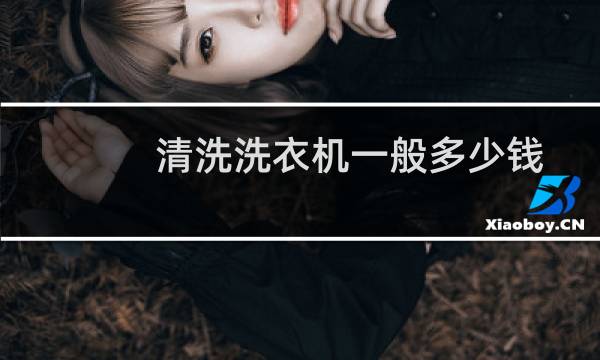 清洗洗衣机一般多少钱 - 清洗普通洗衣机大概多钱