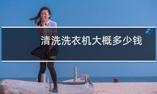 清洗洗衣机大概多少钱 - 洗衣机洗一下多少钱