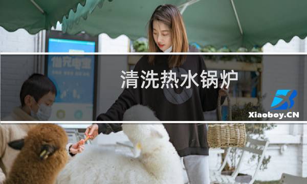 清洗热水锅炉 - 清洗燃煤锅炉