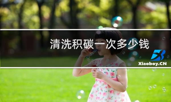 清洗积碳一次多少钱 - 途虎积碳清理一次多少钱