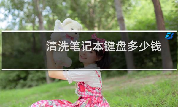 清洗笔记本键盘多少钱 - 笔记本键盘进饮料黏黏的