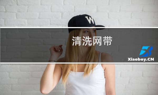 清洗网带 - 乙型网带清洗线