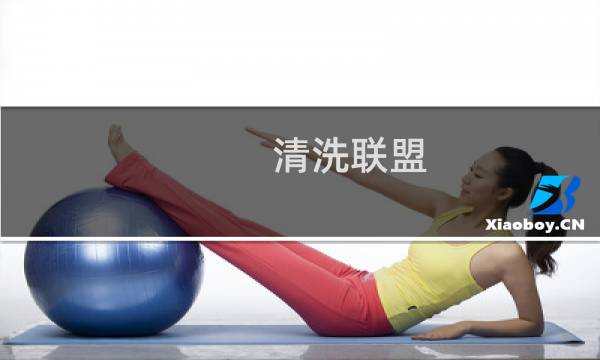 清洗联盟 - 清洁联盟没写错吗