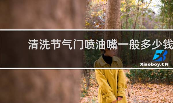 清洗节气门喷油嘴一般多少钱 - 洗喷油嘴和节气门费用