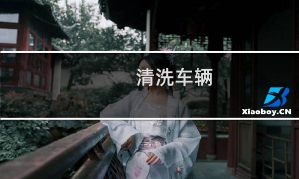 清洗车辆 - 汽车辆