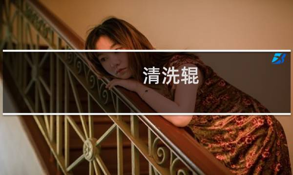 清洗辊 -