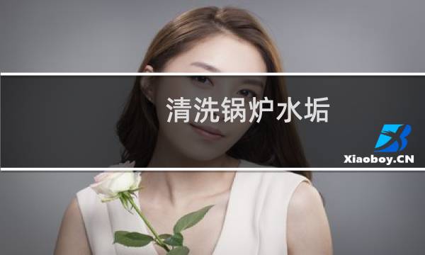 清洗锅炉水垢 - 高中清洗锅炉水垢