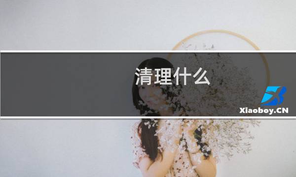 清理什么 - 清理是什么意思解释