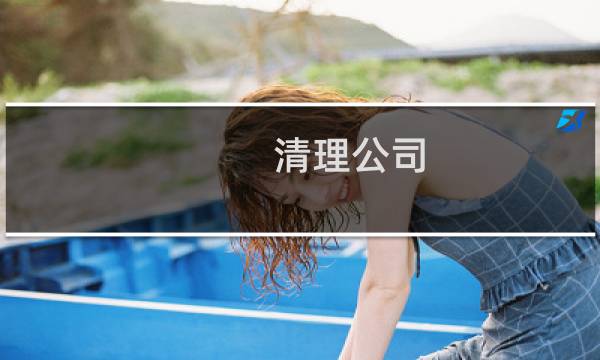 清理公司 - 清洁服务有限公司