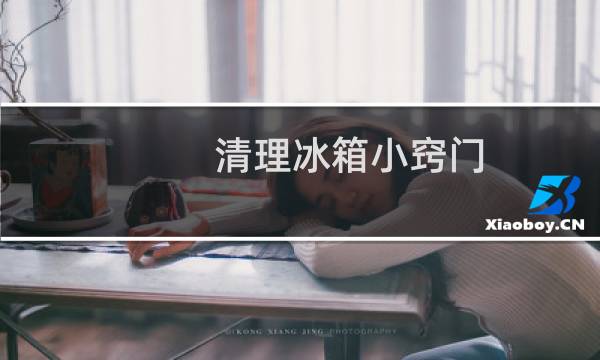 清理冰箱小窍门 - 冰箱怎样清洗才干净杀菌
