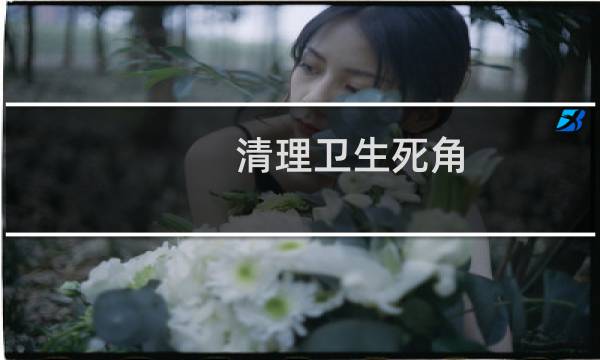清理卫生死角 - 清理卫生死角的信息