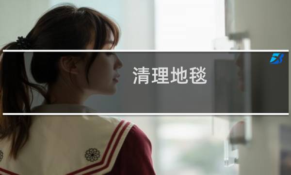 清理地毯 - 自己在家怎么清洗地毯
