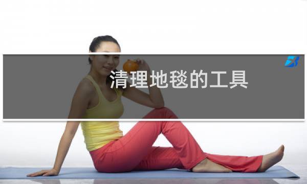 清理地毯的工具 - 地毯脏了一吸就干净的工具