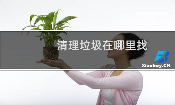 清理垃圾在哪里找 - 手机里清理的垃圾去哪了