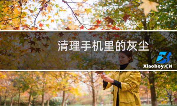 清理手机里的灰尘 - 清理手机里的灰尘的音乐