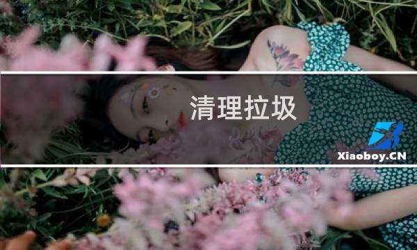 清理拉圾 - 飞闪垃圾怎么清理