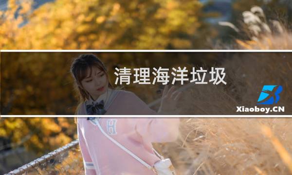 清理海洋垃圾 - 清理海洋垃圾的目的和意义