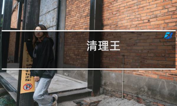 清理王 - 手机清理王正在下载中