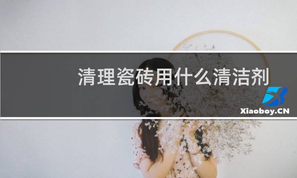 清理瓷砖用什么清洁剂 - 威猛先生洁厕液可以洗瓷砖吗