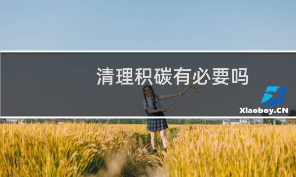 清理积碳有必要吗 - 清理积碳是骗局