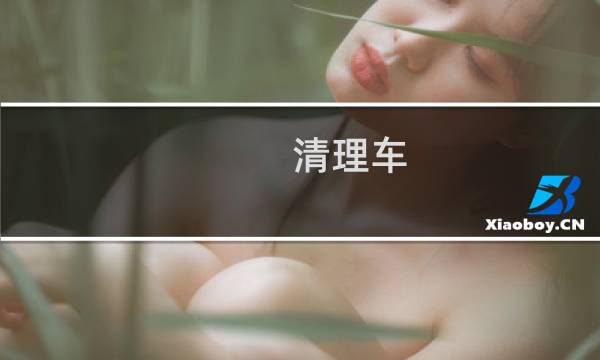 清理车 - 简单净车法