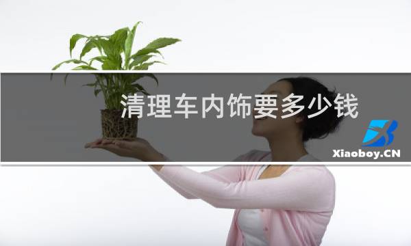 清理车内饰要多少钱 - 全车室内大清洗多少钱