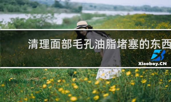 清理面部毛孔油脂堵塞的东西 - 毛孔油脂堵塞怎么疏通毛孔
